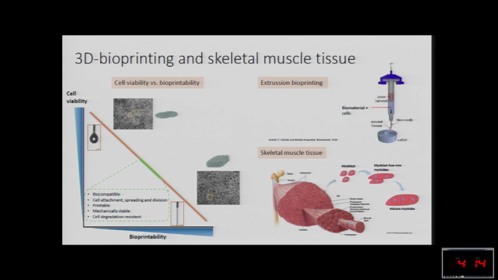 Composite biomaterials as long-lasting scaffolds for 3D bioprinting of highly aligned muscle tissue