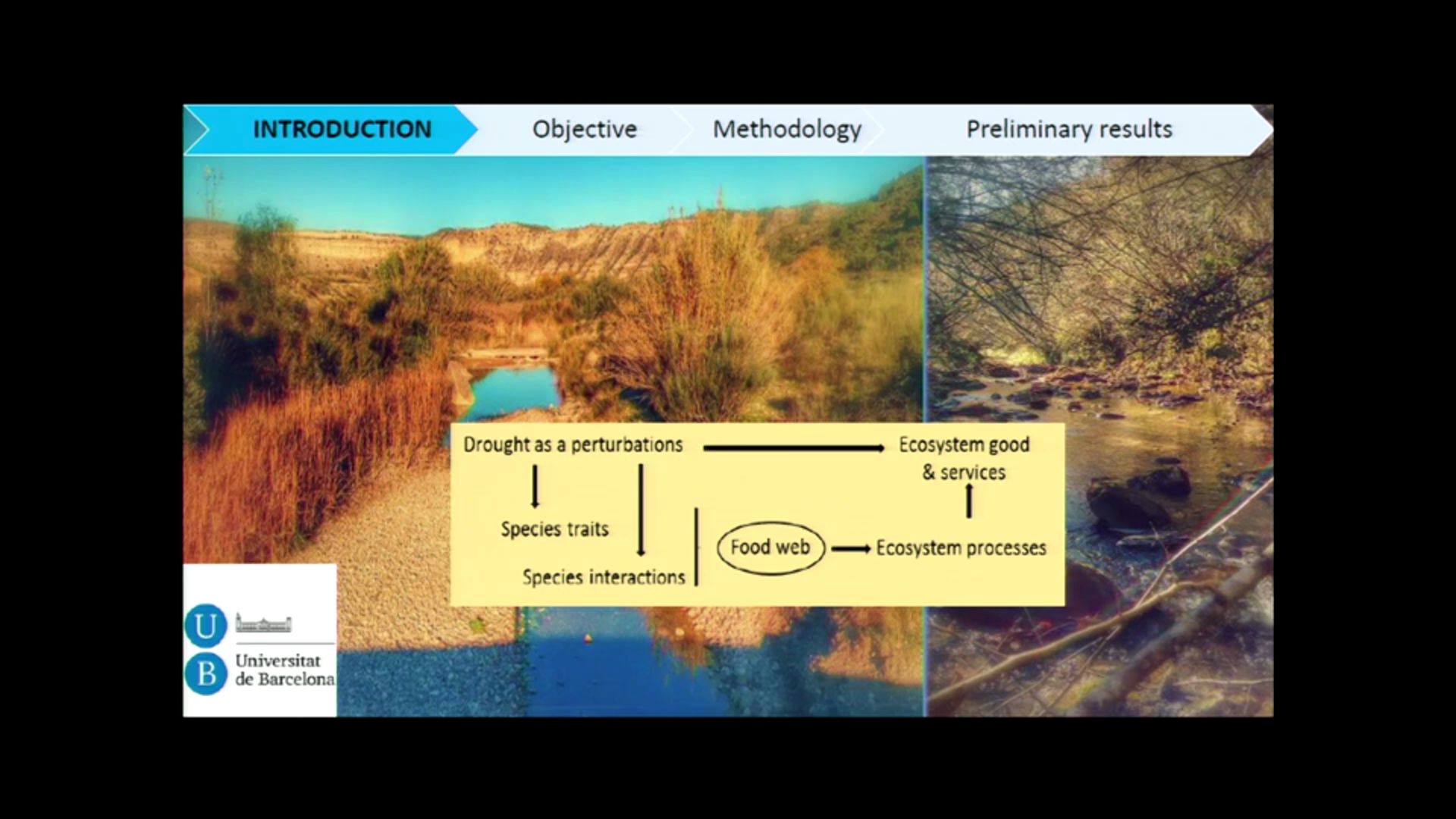 Effects of flow intermittency on aquatic hyphomycetes assemblages in leaf litter, decomposition rates and ...<br/>feeding preferences of invertebrate consumers